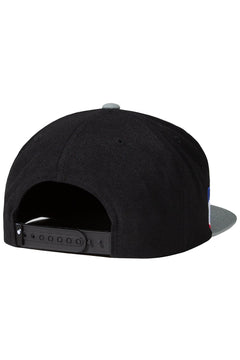 Team Snapback