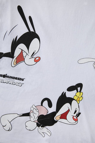 Wakko, Yakko, and Dot T-Shirt